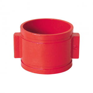 Leyon Double Grooved Check Valve